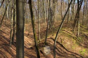 Kultura na świeżym vol. 120: Wysoczyzna Elbląska (brak miejsc)