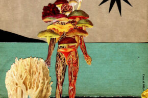Mariusze Figle: Biuro Poszukiwań Surrealistycznych – wystawa