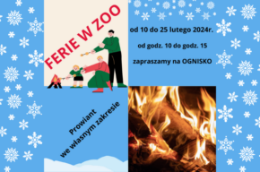 FERIE ZBLIŻAJĄ SIĘ WIELKIMI KROKAMI