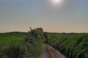 Kultura na świeżym, wyprawy kobiece vol. 23: Rowerem do Nawry