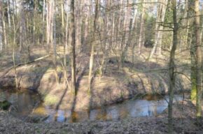 Kultura na świeżym. Wiosenne pierwsze doładowanie widokowe. Wzdłuż Strugi Żołędowskiej.