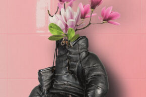 DON  PASQUALE