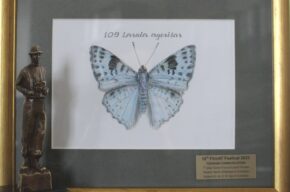 Nagroda dla filmu promującego Muzeum Handlu Wiślanego
