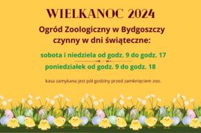 Święta Wielkanocne już za parę dni.
