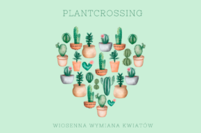 Wiosenna wymiana kwiatów – plantcrossing