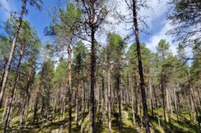 Spotkanie z podróżnikiem Rafałem Królem przy wystawie zdjęć pt. „Wyprawa przez Lemmenjoki – największy park narodowy Europy"