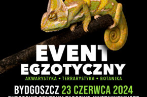ZooEgzotyka Bydgoszcz