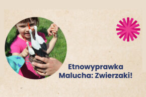Etnowyprawka Malucha: Zwierzaki!