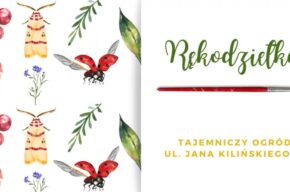 Rękodziełka: Owady w kolorach