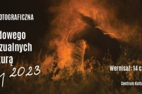Pokonkursowa wystawa fotograficzna XVI Międzynarodowego Festiwalu Sztuk Wizualnych Inspirowanych Naturą „Sztuka Natury”