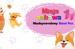 Misja zabawa