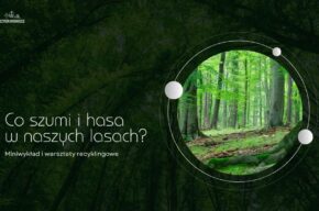 Co szumi i hasa w naszych lasach? Miniwykład i warsztaty recyklingowe