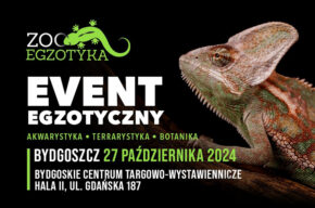EVENT EGZOTYCZNY