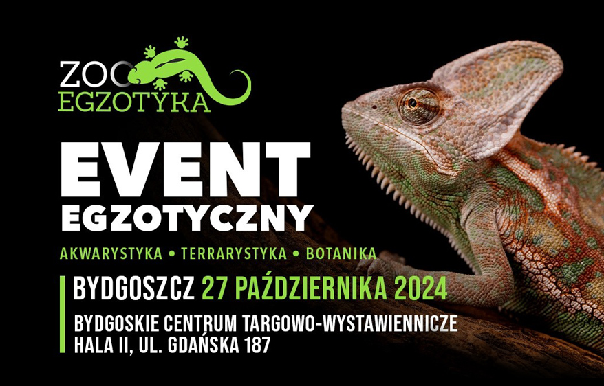 EVENT EGZOTYCZNY