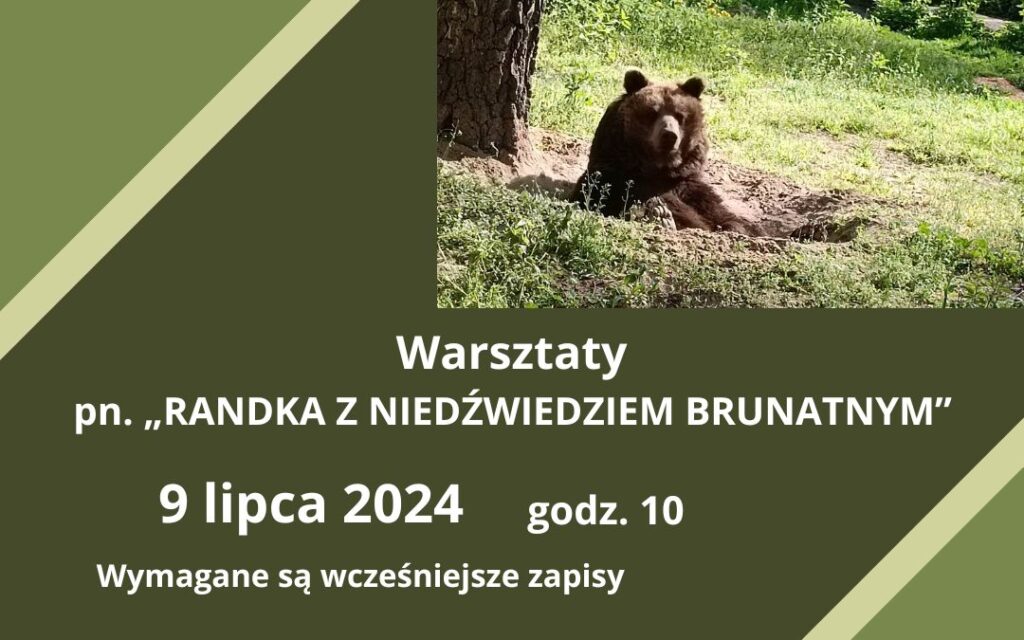 „RANDKA Z NIEDŹWIEDZIEM BRUNATNYM” – warsztaty