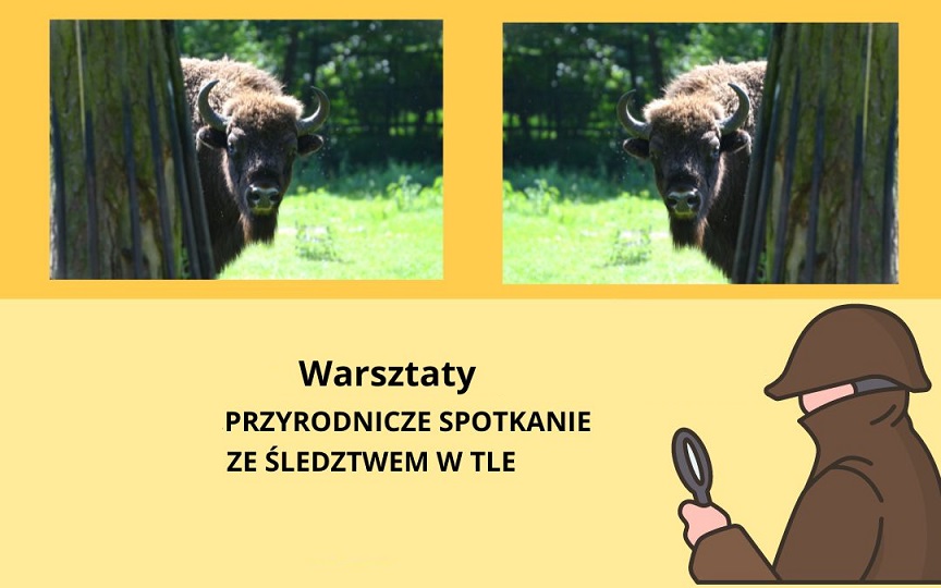 Przyrodnicze spotkanie ze śledztwem w tle – warsztaty