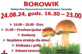BOROWIK