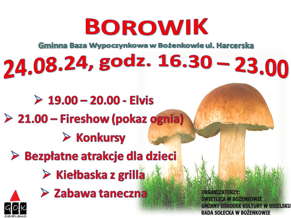 BOROWIK