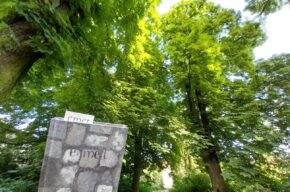 EDD „Szlaki – Sieci – Połączenia”: Przez miasto ogród i miasto labirynt. Śladami bohaterów powieści „Emet”