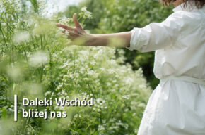 Japońska sztuka spełnionego i radosnego życia według koncepcji ikigai