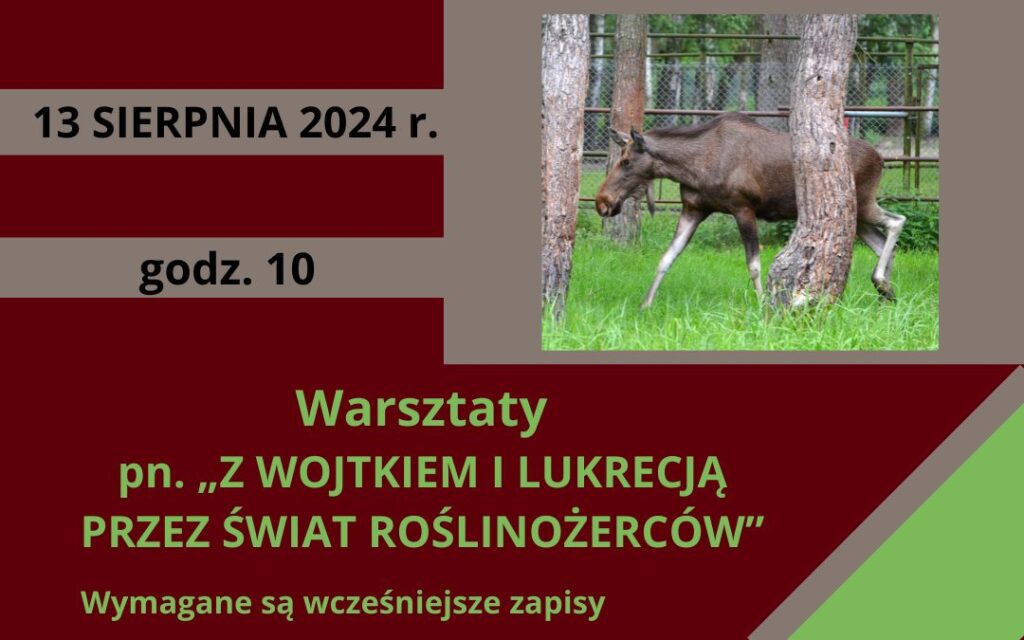 „Z WOJTKIEM I LUKRECJĄ PRZEZ ŚWIAT ROŚLINOŻERCÓW” – warsztaty