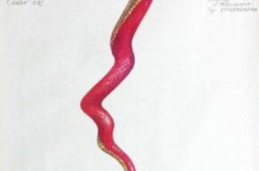 Krzyk