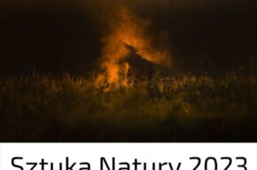 SZTUKA NATURY 2023 – wystawa