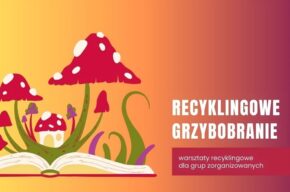 Recyklingowe grzybobranie – warsztaty recyklingowe dla grup zorganizowanych