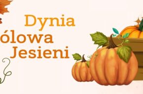 Dynia – królowa jesieni