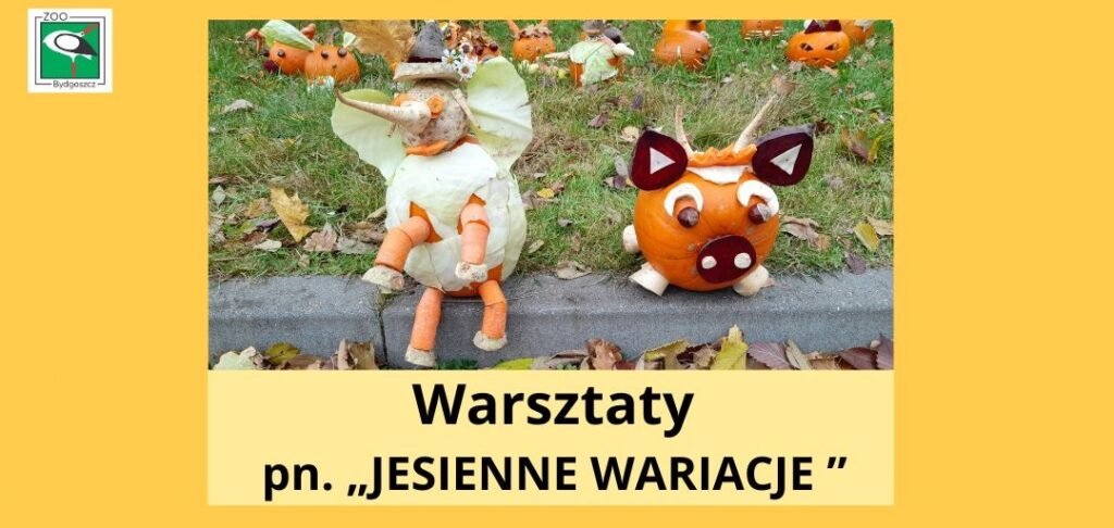 Jesienne wariacje – warsztaty