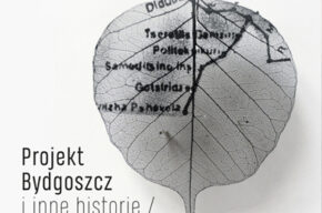 Projekt Bydgoszcz i inne historie. Wystawa prac Hanny Oinonen