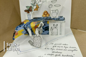 Picture book. Warsztaty projektowania książek obrazowych