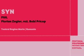 Festiwal Prapremier: SYN | reż. Bobi Pricop