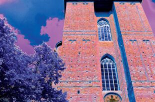 Wernisaż wystawy TORUŃ – GOTYK POŚRÓD DRZEW