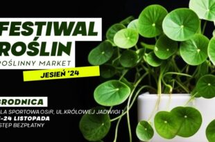 FESTIWAL ROŚLIN W BRODNICY – wielki market roślin w supercenach