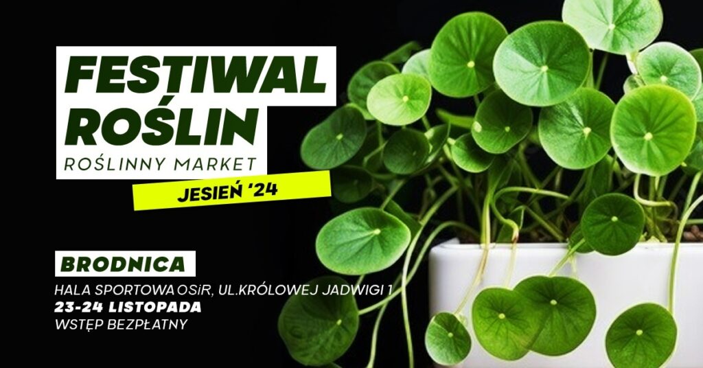 FESTIWAL ROŚLIN W BRODNICY – wielki market roślin w supercenach