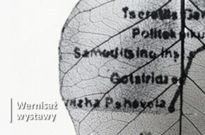 Hanna Oinonen. Projekt Bydgoszcz i inne historie