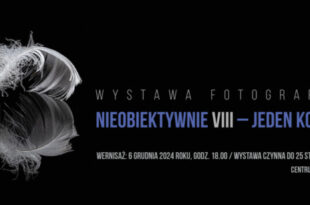 NieObiektywnie VIII – Jeden kolor – Wystawa fotografii grupy Fotoobiektywni