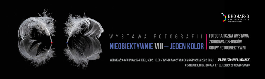 NieObiektywnie VIII – Jeden kolor – Wystawa fotografii grupy Fotoobiektywni - wernisaż