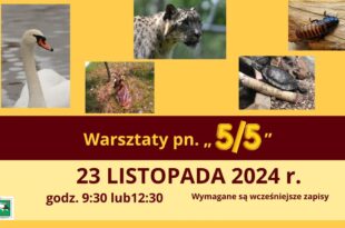 Warsztaty pn. „5/5”