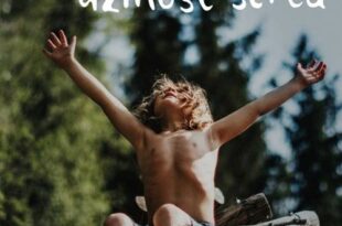 Seans filmowy: Naturalna dzikość serca. DKF Niespodzianka