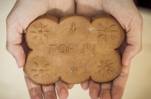 Dzień Babci i Dziadka w Muzeum Okręgowym w Toruniu