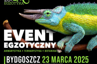 ZOOEGZOTYKA PONOWNIE W BYDGOSZCZY!