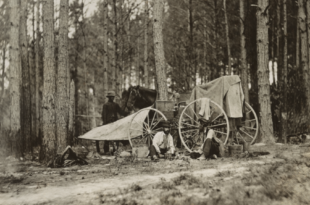 Fotografia prasowa dawniej i dziś | Sztuka fotografii | wykład