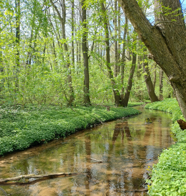 Mała kultura na świeżym vol. 19: Poparkuj!