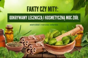 Fakty czy mity: odkrywamy leczniczą i kosmetyczną moc ziół - miniwykładzie i warsztaty zielarskie