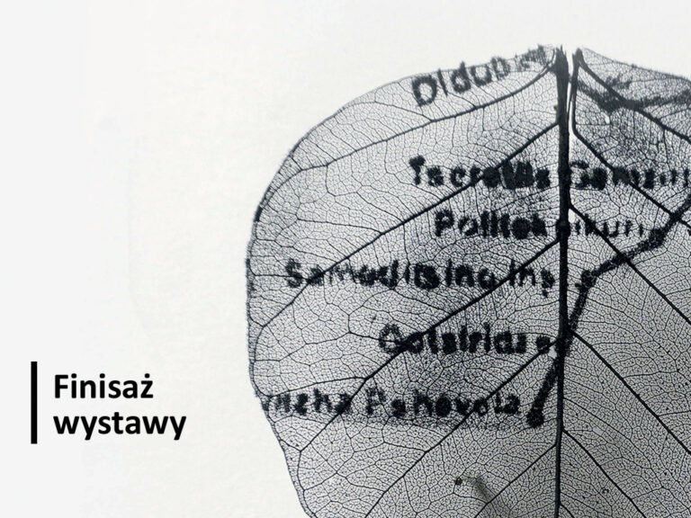 Projekt Bydgoszcz i inne historie. Wystawa prac Hanny Oinonen, Laureatki MTG Kraków 2021