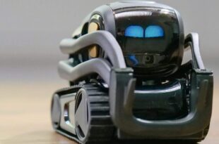 Warsztaty „Wyścigi Robotów”