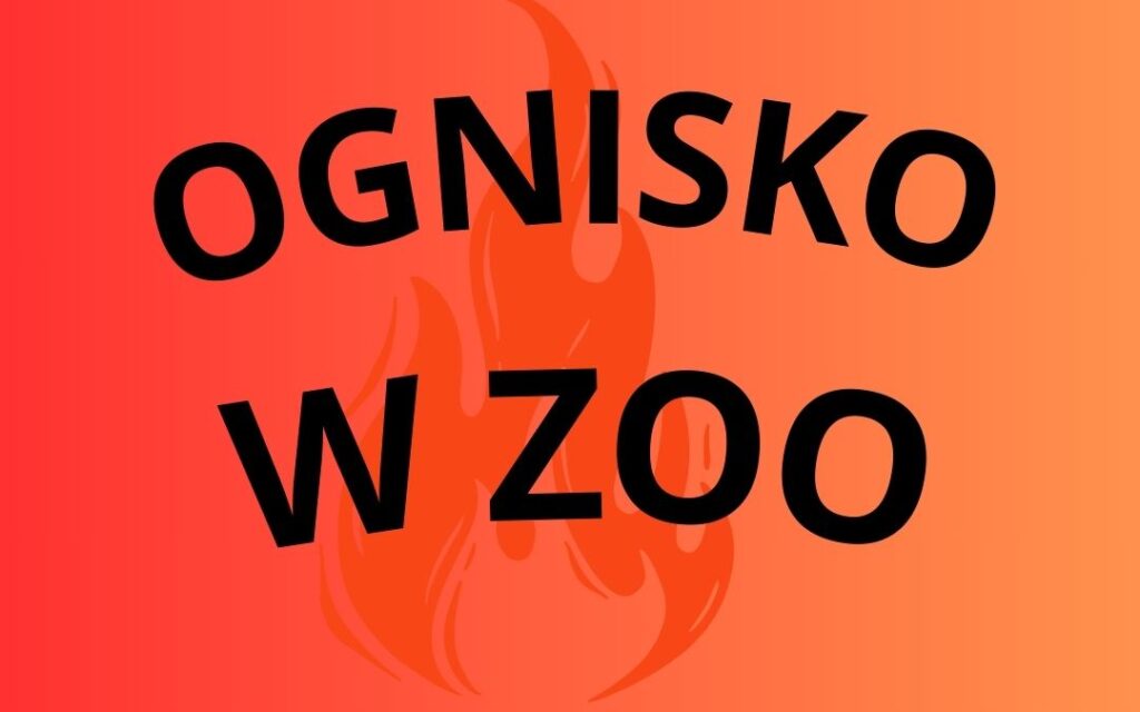 OGNISKO W ZOO