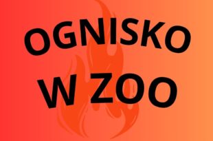 OGNISKO W ZOO